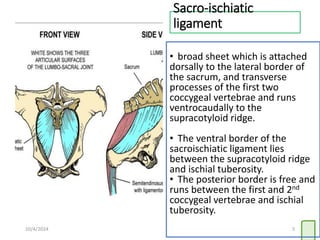 Ventral Ridging Presentation about Birth canal animals .pdf