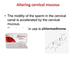 • The motility of the sperm in the cervical
canal is accelerated by the cervical
mucous.
• The chemical in use is chlormadinone
acetate.
 