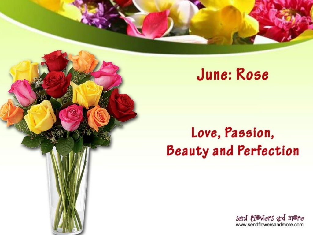 Birthday Flowers According to the Month and Its Meanings