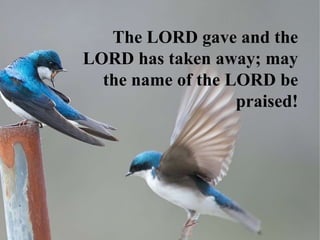 The LORD gave and the
LORD has taken away; may
  the name of the LORD be
                   praised!
 