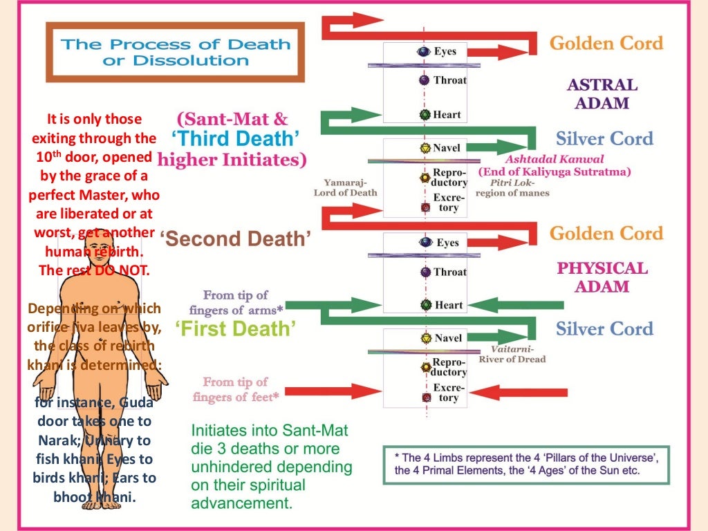 Birth Death Ppt