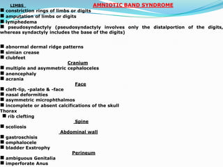 LIMBS AMNIOTIC BAND SYNDROME
g constriction rings of limbs or digits
g amputation of limbs or digits
g lymphedema
g pseudosyndactyly (pseudosyndactyly involves only the distalportion of the digits,
whereas syndactyly includes the base of the digits)
g abnormal dermal ridge patterns
g simian crease
g clubfeet
Cranium
g multiple and asymmetric cephaloceles
g anencephaly
g acrania
Face
g cleft-lip, -palate & -face
g nasal deformities
g asymmetric microphthalmos
g incomplete or absent calcifications of the skull
Thorax
g rib clefting
Spine
g scoliosis
Abdominal wall
g gastroschisis
g omphalocele
g bladder Exstrophy
Perineum
g ambiguous Genitalia
g imperforate Anus
 
