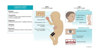 birth defects embryology development 1.pptx