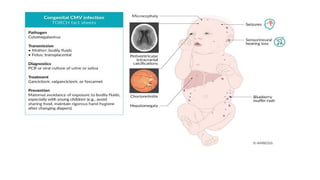 birth defects embryology development 1.pptx