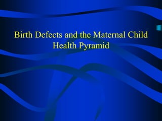 Birth Defects and the Maternal Child
Health Pyramid
 