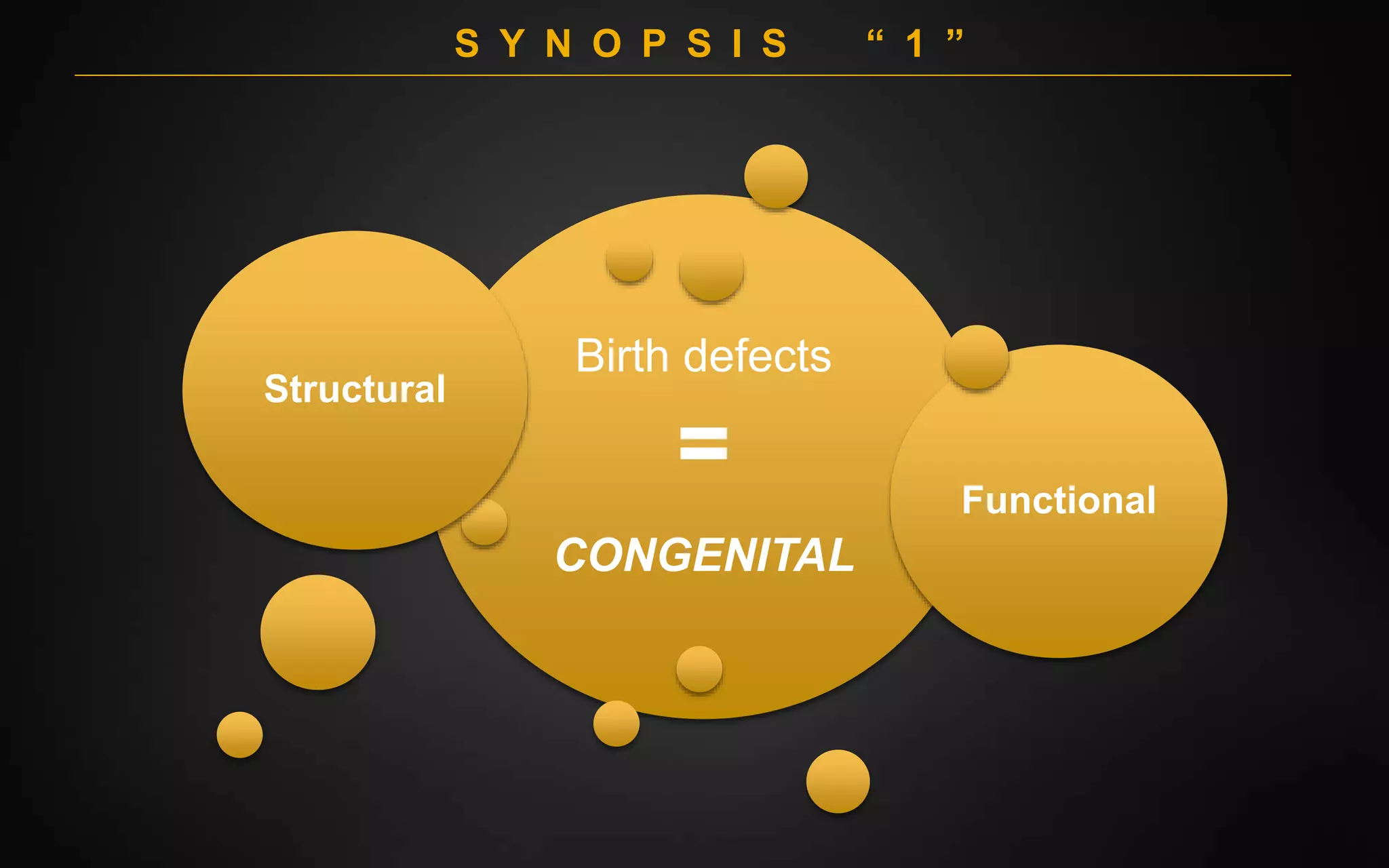 Birth Defects | PPTX