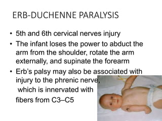 ERB-DUCHENNE PARALYSIS
• 5th and 6th cervical nerves injury
• The infant loses the power to abduct the
arm from the shoulder, rotate the arm
externally, and supinate the forearm
• Erb’s palsy may also be associated with
injury to the phrenic nerve,
which is innervated with
fibers from C3–C5
 