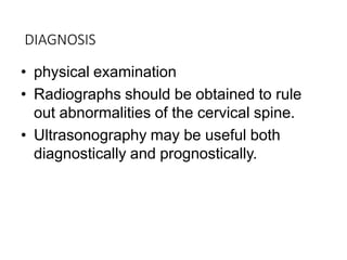 DIAGNOSIS
• physical examination
• Radiographs should be obtained to rule
out abnormalities of the cervical spine.
• Ultrasonography may be useful both
diagnostically and prognostically.
 