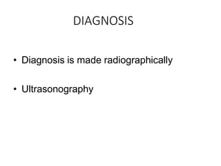 DIAGNOSIS
• Diagnosis is made radiographically
• Ultrasonography
 