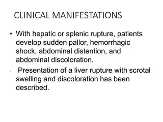CLINICAL MANIFESTATIONS
• With hepatic or splenic rupture, patients
develop sudden pallor, hemorrhagic
shock, abdominal distention, and
abdominal discoloration.
• Presentation of a liver rupture with scrotal
swelling and discoloration has been
described.
 