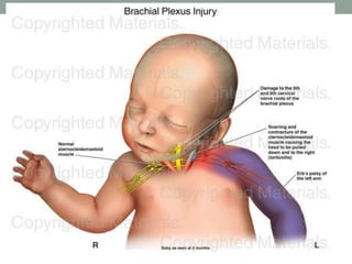 12/26/2022 Reena Bhagat 72
 