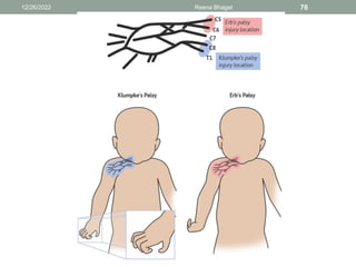 12/26/2022 Reena Bhagat 76
 