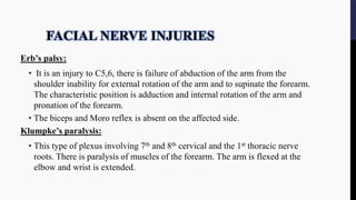 FACIAL NERVE INJURIES
Erb’s palsy:
• It is an injury to C5,6, there is failure of abduction of the arm from the
shoulder inability for external rotation of the arm and to supinate the forearm.
The characteristic position is adduction and internal rotation of the arm and
pronation of the forearm.
• The biceps and Moro reflex is absent on the affected side.
Klumpke’s paralysis:
• This type of plexus involving 7th and 8th cervical and the 1st thoracic nerve
roots. There is paralysis of muscles of the forearm. The arm is flexed at the
elbow and wrist is extended.
 