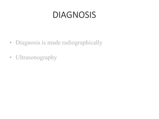 DIAGNOSIS
• Diagnosis is made radiographically
• Ultrasonography
 