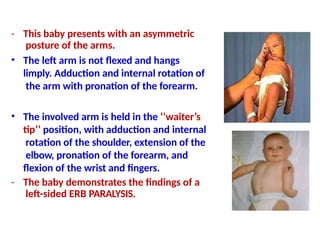 common Birth Injuries ppt in neonates .pptx