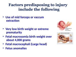 common Birth Injuries ppt in neonates .pptx