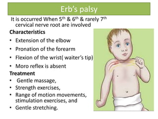 Erb’s palsy
It is occurred When 5th & 6th & rarely 7th
cervical nerve root are involved
Characteristics
• Extension of the elbow
• Pronation of the forearm
• Flexion of the wrist( waiter’s tip)
• Moro reflex is absent
Treatment
• Gentle massage,
• Strength exercises,
• Range of motion movements,
stimulation exercises, and
• Gentle stretching.
 