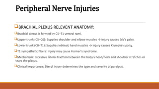 Peripheral Nerve Injuries
BRACHIAL PLEXUS RELEVENT ANATOMY:
Brachial plexus is formed by C5–T1 ventral rami.
Upper trunk (C5–C6): Supplies shoulder and elbow muscles → injury causes Erb's palsy.
Lower trunk (C8–T1): Supplies intrinsic hand muscles → injury causes Klumpke's palsy.
T1 sympathetic fibers: Injury may cause Horner's syndrome.
Mechanism: Excessive lateral traction between the baby's head/neck and shoulder stretches or
tears the plexus.
Clinical importance: Site of injury determines the type and severity of paralysis.
 