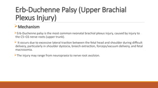 Erb-Duchenne Palsy (Upper Brachial
Plexus Injury)
Mechanism
Erb-Duchenne palsy is the most common neonatal brachial plexus injury, caused by injury to
the C5–C6 nerve roots (upper trunk).
 It occurs due to excessive lateral traction between the fetal head and shoulder during difficult
delivery, particularly in shoulder dystocia, breech extraction, forceps/vacuum delivery, and fetal
macrosomia.
The injury may range from neuropraxia to nerve root avulsion.
 