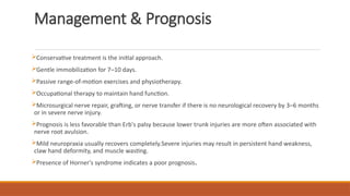 Management & Prognosis
Conservative treatment is the initial approach.
Gentle immobilization for 7–10 days.
Passive range-of-motion exercises and physiotherapy.
Occupational therapy to maintain hand function.
Microsurgical nerve repair, grafting, or nerve transfer if there is no neurological recovery by 3–6 months
or in severe nerve injury.
Prognosis is less favorable than Erb's palsy because lower trunk injuries are more often associated with
nerve root avulsion.
Mild neuropraxia usually recovers completely.Severe injuries may result in persistent hand weakness,
claw hand deformity, and muscle wasting.
Presence of Horner's syndrome indicates a poor prognosis.
 