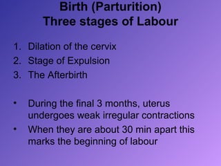 Birth (Parturition)
       Three stages of Labour
1. Dilation of the cervix
2. Stage of Expulsion
3. The Afterbirth

•   During the final 3 months, uterus
    undergoes weak irregular contractions
•   When they are about 30 min apart this
    marks the beginning of labour
 