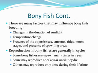 Bony Fish Cont.
 There are many factors that may influence bony fish
  breeding
   Changes in the duration of sunlight
 ...