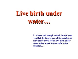 Live birth under water… ,[object Object]