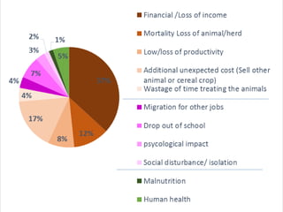 Impact of small ruminant diseases on different household members in Ethiopia