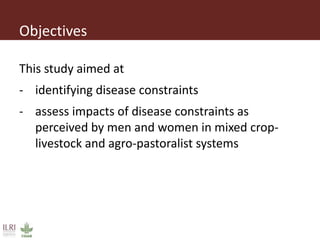 Impact of small ruminant diseases on different household members in Ethiopia