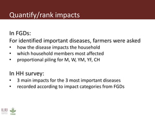 Impact of small ruminant diseases on different household members in Ethiopia