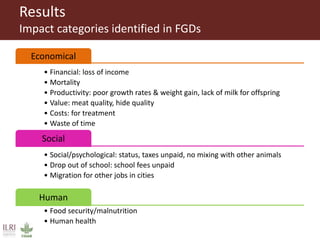 Impact of small ruminant diseases on different household members in Ethiopia