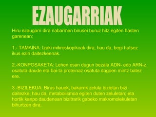 EZAUGARRIAK Hiru ezaugarri dira nabarmen birusei buruz hitz egiten hasten garenean:  1.- TAMAINA: Izaki mikroskopikoak dira, hau da, begi hutsez ikus ezin daitezkeenak. 2.-KONPOSAKETA: Lehen esan dugun bezala ADN- edo ARN-z osatuta daude eta bai-ta proteinaz osatuta dagoen mintz batez ere. 3.-BIZILEKUA: Birus hauek, bakarrik zelula bizietan bizi daitezke, hau da, metabolismoa egiten duten zeluletan; eta hortik kanpo daudenean bizitrarik gabeko makromolekuletan bihurtzen dira. 