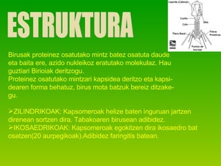 ESTRUKTURA Birusak proteinez osatutako mintz batez osatuta daude  eta baita ere, azido nukleikoz eratutako molekulaz. Hau guztiari Birioiak deritzogu. Proteinez osatutako mintzari kapsidea deritzo eta kapsi- dearen forma behatuz, birus mota batzuk bereiz ditzake- gu. ZILINDRIKOAK: Kapsomeroak helize baten inguruan jartzen direnean sortzen dira. Tabakoaren birusean adibidez. IKOSAEDRIKOAK: Kapsomeroak egokitzen dira ikosaedro bat osatzen(20 aurpegikoak).Adibidez faringitis batean.  
