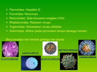 Flaviviridae: Hepatitis G Poxviridae: Reovirusa Retroviridae: Sida birusaren eragilea (VIH) Rhabdoviridae: Rabiaren virusa. Togaviridae: Rubeolaren virusa adibidez Asfaviridae: Afrikar peste porcinaren birusa daukagu hemen. Birus hauetaz ere hainbat gehiago ere daude. FLAVIVIRIDAE HANTAVIRUS BUNYAVIRIDAE RETROVIRIDAE CORONAVIRIDAE 