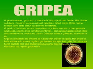 GRIPEA Gripea da arnaseko gaixotasun kutsakorra da &quot;orthomyxoviridae&quot; familiko ARN birusak sortutakoa. Gripearen birusaren zoldurak gaixotasun batzuk eragin ditzake, batzuk suabeak baina beste batzuk kutsatu dena hil dezakete.  Gripea izurri bat da eta sintoma hauek dakartza: sukarra, anorexia, ondoez generala, eztul sekoa, eztarriko mina, larinjitiseko sintomak… eta batzuetan gastronteritis bezala: abdominaleko mina, botakak eta diarrea. Gripearen zailtasun gabeetako bat neumonia da. Gripea ez edukitzeko era errezena da kutsatu diren ondoan ez egotea. Hori erraza ez bada: eskuak arduratsu eta regularki garbitzea eta aurpegia ikutu gabe. Giro beroa eta hezea eta likido bero asko edateak sintomak arindu egiten ditu piska bat. Gaixotasun hau neguan gertatzen da. 