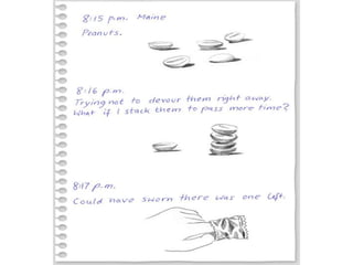 Bir Uçuşun Hikâyesi