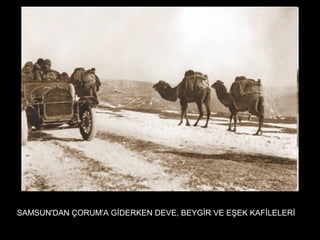 SAMSUN'DAN ÇORUM'A GİDERKEN DEVE, BEYGİR VE EŞEK KAFİLELERİ
 