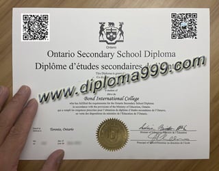 BIS-diploma