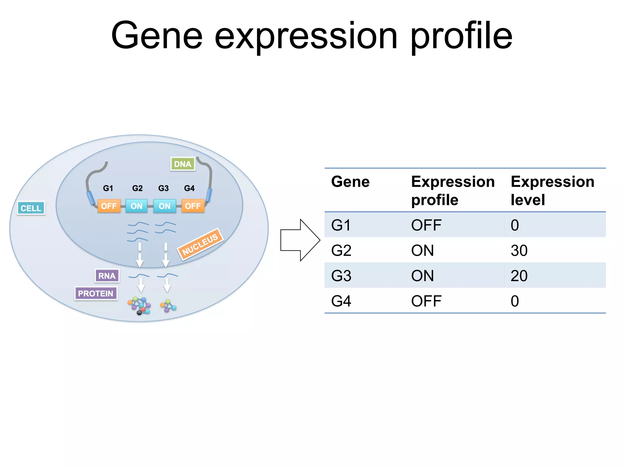 v
Gene expression profile
Gene Expression
profile
Expression
level
G1 OFF 0
G2 ON 30
G3 ON 20
G4 OFF 0
 