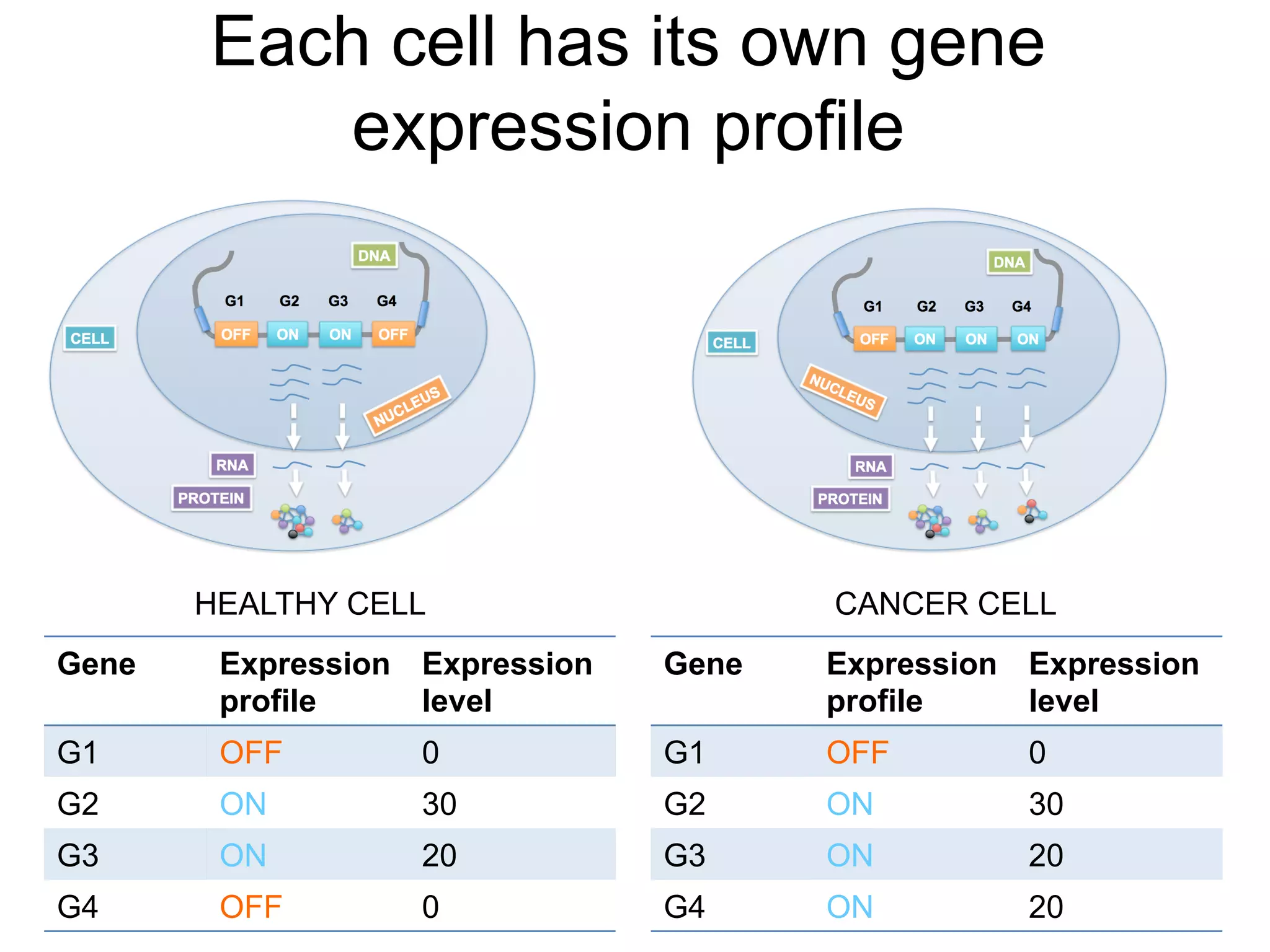 Each cell has its own gene
expression profile
Gene Expression
profile
Expression
level
G1 OFF 0
G2 ON 30
G3 ON 20
G4 OFF 0
Gene Expression
profile
Expression
level
G1 OFF 0
G2 ON 30
G3 ON 20
G4 ON 20
HEALTHY CELL CANCER CELL
 