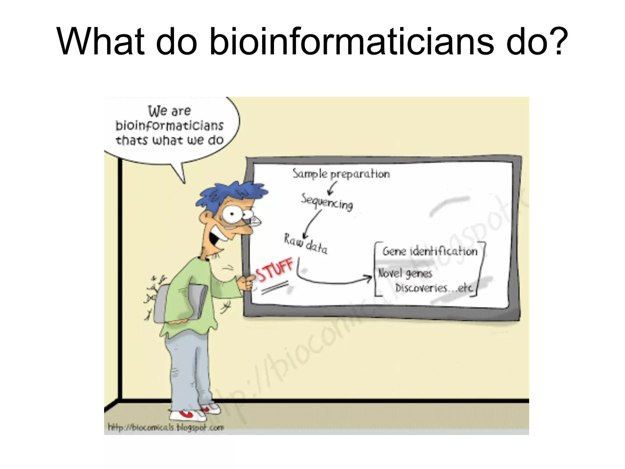 What do bioinformaticians do?
 