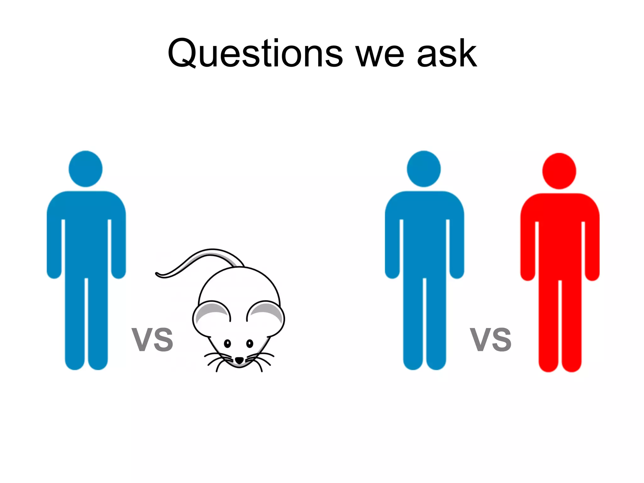 VSVS
Questions we ask
 