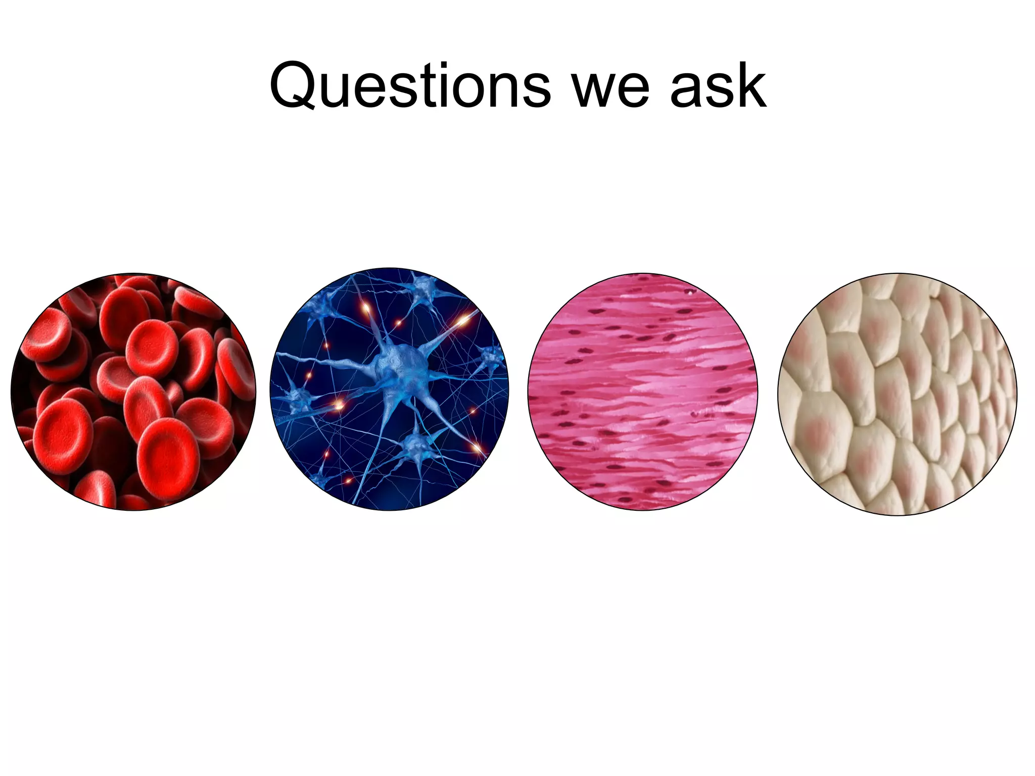 Questions we ask
 