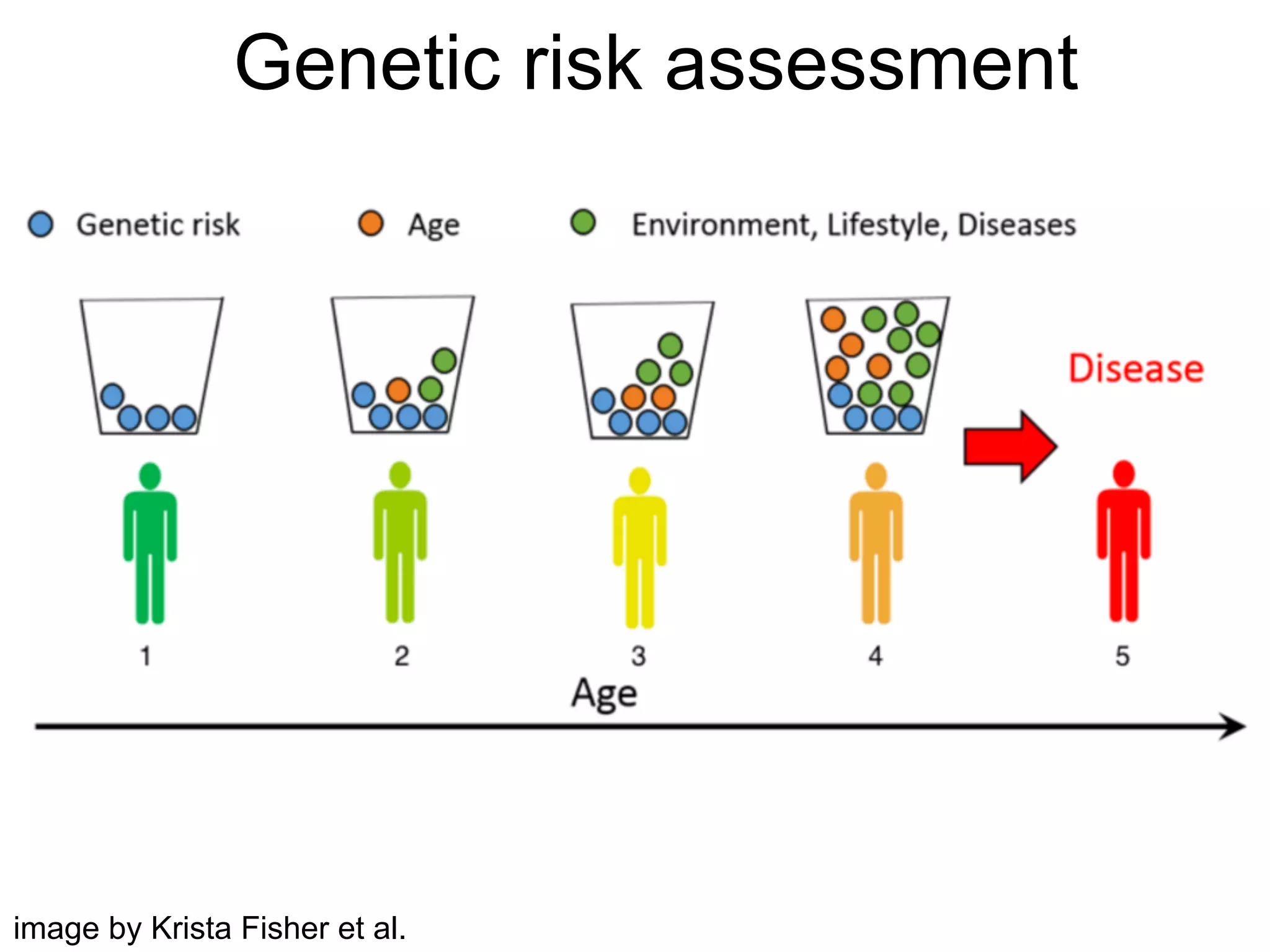 image by Krista Fisher et al.
Genetic risk assessment
 