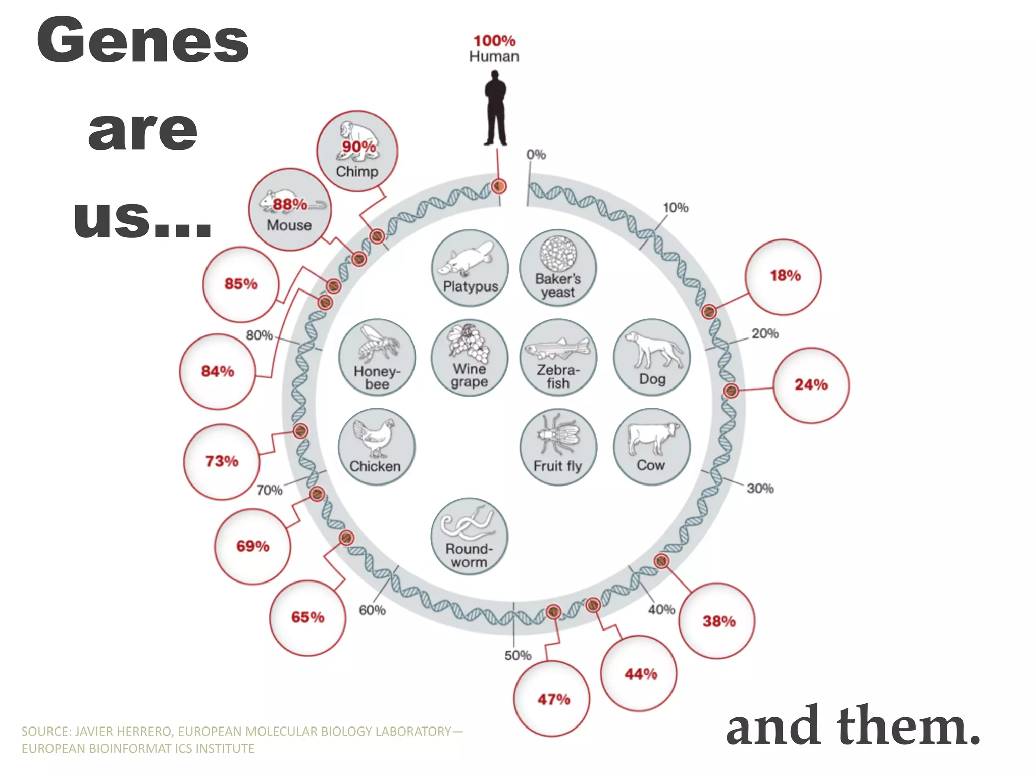 Genes
are
us…
and them.SOURCE:,JAVIER,HERRERO,,EUROPEAN,MOLECULAR,BIOLOGY,LABORATORY—
EUROPEAN,BIOINFORMAT,ICS,INSTITUTE
Genes
are
us…
and them.SOURCE:,JAVIER,HERRERO,,EUROPEAN,MOLECULAR,BIOLOGY,LABORATORY—
EUROPEAN,BIOINFORMAT,ICS,INSTITUTE
Genes
are
us…
and them.SOURCE:,JAVIER,HERRERO,,EUROPEAN,MOLECULAR,BIOLOGY,LABORATORY—
EUROPEAN,BIOINFORMAT,ICS,INSTITUTE
 