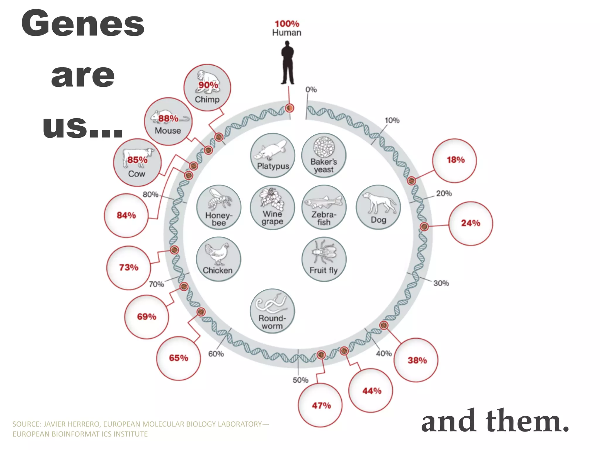 Genes
are
us…
and them.SOURCE:,JAVIER,HERRERO,,EUROPEAN,MOLECULAR,BIOLOGY,LABORATORY—
EUROPEAN,BIOINFORMAT,ICS,INSTITUTE
Genes
are
us…
and them.SOURCE:,JAVIER,HERRERO,,EUROPEAN,MOLECULAR,BIOLOGY,LABORATORY—
EUROPEAN,BIOINFORMAT,ICS,INSTITUTE
Genes
are
us…
and them.SOURCE:,JAVIER,HERRERO,,EUROPEAN,MOLECULAR,BIOLOGY,LABORATORY—
EUROPEAN,BIOINFORMAT,ICS,INSTITUTE
Genes
are
us…
and them.SOURCE:,JAVIER,HERRERO,,EUROPEAN,MOLECULAR,BIOLOGY,LABORATORY—
EUROPEAN,BIOINFORMAT,ICS,INSTITUTE
 