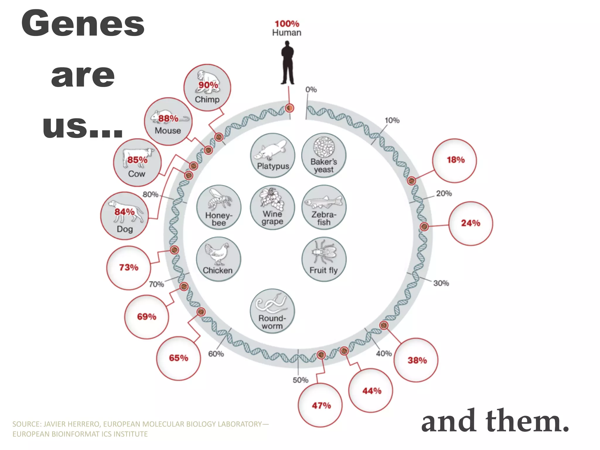 Genes
are
us…
and them.SOURCE:,JAVIER,HERRERO,,EUROPEAN,MOLECULAR,BIOLOGY,LABORATORY—
EUROPEAN,BIOINFORMAT,ICS,INSTITUTE
Genes
are
us…
and them.SOURCE:,JAVIER,HERRERO,,EUROPEAN,MOLECULAR,BIOLOGY,LABORATORY—
EUROPEAN,BIOINFORMAT,ICS,INSTITUTE
Genes
are
us…
and them.SOURCE:,JAVIER,HERRERO,,EUROPEAN,MOLECULAR,BIOLOGY,LABORATORY—
EUROPEAN,BIOINFORMAT,ICS,INSTITUTE
Genes
are
us…
and them.SOURCE:,JAVIER,HERRERO,,EUROPEAN,MOLECULAR,BIOLOGY,LABORATORY—
EUROPEAN,BIOINFORMAT,ICS,INSTITUTE
Genes
are
us…
and them.SOURCE:,JAVIER,HERRERO,,EUROPEAN,MOLECULAR,BIOLOGY,LABORATORY—
EUROPEAN,BIOINFORMAT,ICS,INSTITUTE
 