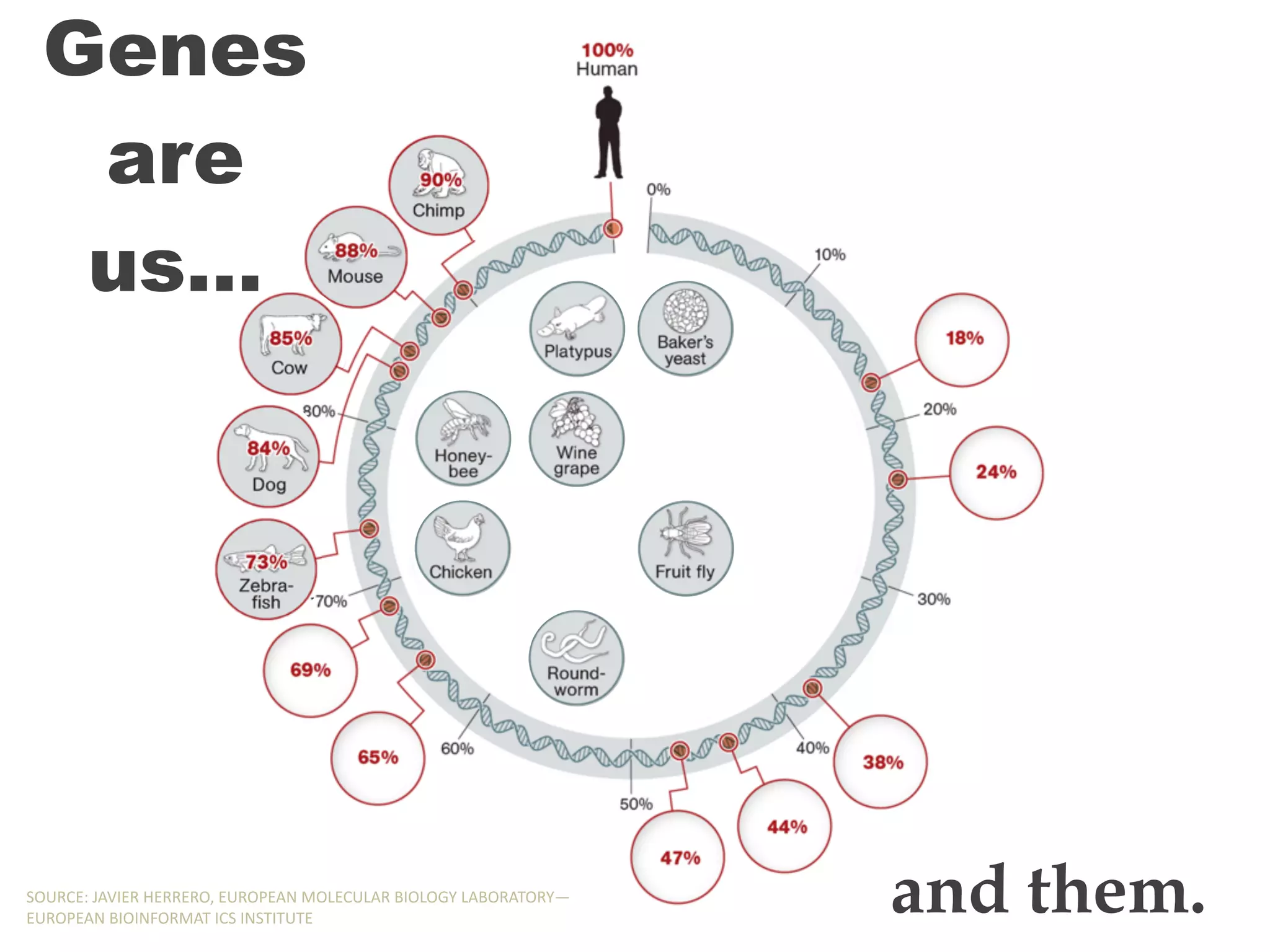 Genes
are
us…
and them.SOURCE:,JAVIER,HERRERO,,EUROPEAN,MOLECULAR,BIOLOGY,LABORATORY—
EUROPEAN,BIOINFORMAT,ICS,INSTITUTE
Genes
are
us…
and them.SOURCE:,JAVIER,HERRERO,,EUROPEAN,MOLECULAR,BIOLOGY,LABORATORY—
EUROPEAN,BIOINFORMAT,ICS,INSTITUTE
Genes
are
us…
and them.SOURCE:,JAVIER,HERRERO,,EUROPEAN,MOLECULAR,BIOLOGY,LABORATORY—
EUROPEAN,BIOINFORMAT,ICS,INSTITUTE
Genes
are
us…
and them.SOURCE:,JAVIER,HERRERO,,EUROPEAN,MOLECULAR,BIOLOGY,LABORATORY—
EUROPEAN,BIOINFORMAT,ICS,INSTITUTE
Genes
are
us…
and them.SOURCE:,JAVIER,HERRERO,,EUROPEAN,MOLECULAR,BIOLOGY,LABORATORY—
EUROPEAN,BIOINFORMAT,ICS,INSTITUTE
Genes
are
us…
and them.SOURCE:,JAVIER,HERRERO,,EUROPEAN,MOLECULAR,BIOLOGY,LABORATORY—
EUROPEAN,BIOINFORMAT,ICS,INSTITUTE
 