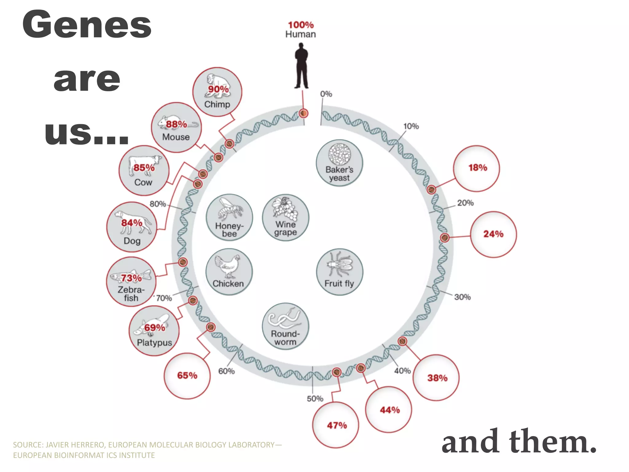 Genes
are
us…
and them.SOURCE:,JAVIER,HERRERO,,EUROPEAN,MOLECULAR,BIOLOGY,LABORATORY—
EUROPEAN,BIOINFORMAT,ICS,INSTITUTE
Genes
are
us…
and them.SOURCE:,JAVIER,HERRERO,,EUROPEAN,MOLECULAR,BIOLOGY,LABORATORY—
EUROPEAN,BIOINFORMAT,ICS,INSTITUTE
Genes
are
us…
and them.SOURCE:,JAVIER,HERRERO,,EUROPEAN,MOLECULAR,BIOLOGY,LABORATORY—
EUROPEAN,BIOINFORMAT,ICS,INSTITUTE
Genes
are
us…
and them.SOURCE:,JAVIER,HERRERO,,EUROPEAN,MOLECULAR,BIOLOGY,LABORATORY—
EUROPEAN,BIOINFORMAT,ICS,INSTITUTE
Genes
are
us…
and them.SOURCE:,JAVIER,HERRERO,,EUROPEAN,MOLECULAR,BIOLOGY,LABORATORY—
EUROPEAN,BIOINFORMAT,ICS,INSTITUTE
Genes
are
us…
and them.SOURCE:,JAVIER,HERRERO,,EUROPEAN,MOLECULAR,BIOLOGY,LABORATORY—
EUROPEAN,BIOINFORMAT,ICS,INSTITUTE
Genes
are
us…
and them.SOURCE:,JAVIER,HERRERO,,EUROPEAN,MOLECULAR,BIOLOGY,LABORATORY—
EUROPEAN,BIOINFORMAT,ICS,INSTITUTE
 