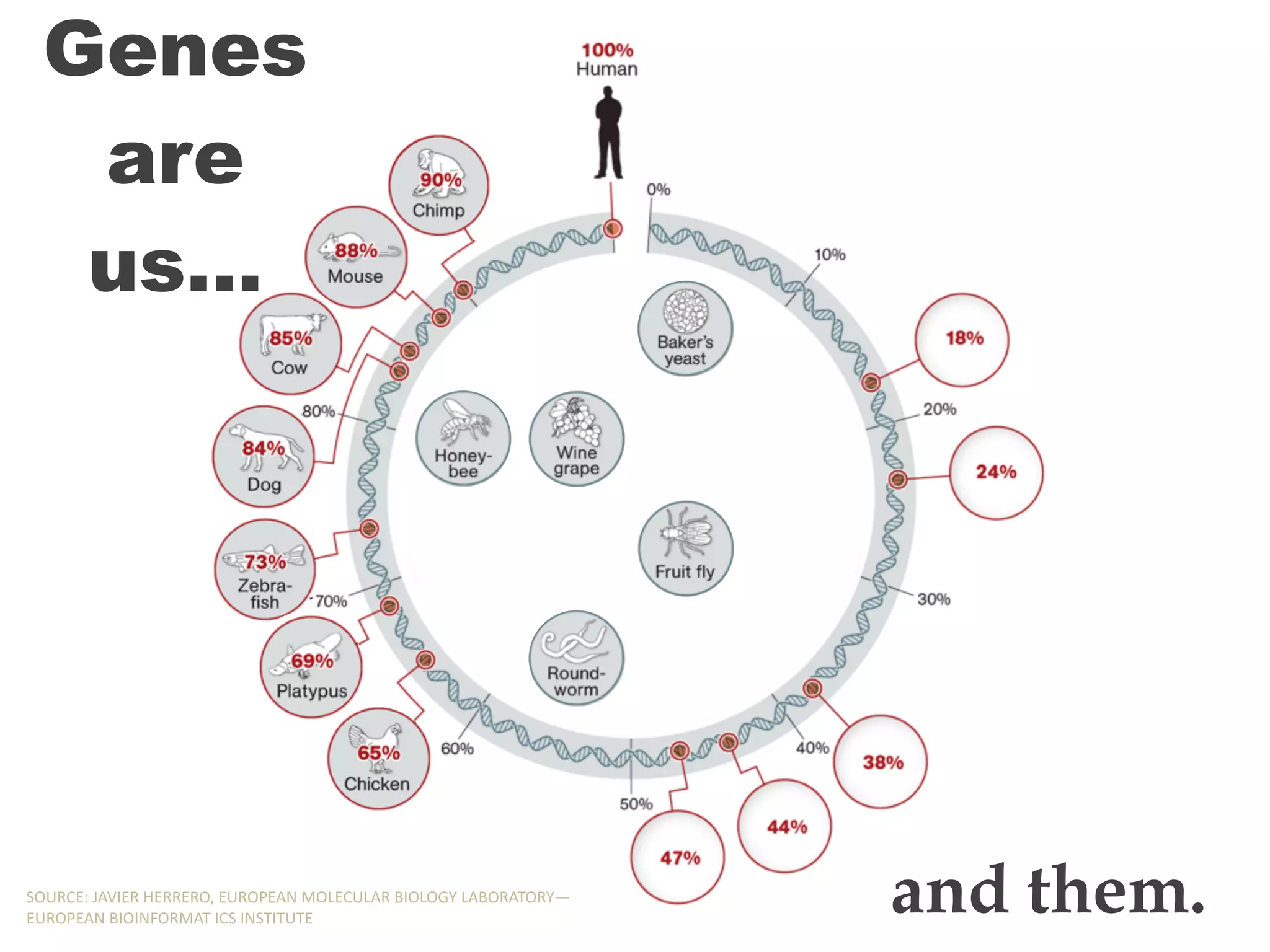 Genes
are
us…
and them.SOURCE:,JAVIER,HERRERO,,EUROPEAN,MOLECULAR,BIOLOGY,LABORATORY—
EUROPEAN,BIOINFORMAT,ICS,INSTITUTE
Genes
are
us…
and them.SOURCE:,JAVIER,HERRERO,,EUROPEAN,MOLECULAR,BIOLOGY,LABORATORY—
EUROPEAN,BIOINFORMAT,ICS,INSTITUTE
Genes
are
us…
and them.SOURCE:,JAVIER,HERRERO,,EUROPEAN,MOLECULAR,BIOLOGY,LABORATORY—
EUROPEAN,BIOINFORMAT,ICS,INSTITUTE
Genes
are
us…
and them.SOURCE:,JAVIER,HERRERO,,EUROPEAN,MOLECULAR,BIOLOGY,LABORATORY—
EUROPEAN,BIOINFORMAT,ICS,INSTITUTE
Genes
are
us…
and them.SOURCE:,JAVIER,HERRERO,,EUROPEAN,MOLECULAR,BIOLOGY,LABORATORY—
EUROPEAN,BIOINFORMAT,ICS,INSTITUTE
Genes
are
us…
and them.SOURCE:,JAVIER,HERRERO,,EUROPEAN,MOLECULAR,BIOLOGY,LABORATORY—
EUROPEAN,BIOINFORMAT,ICS,INSTITUTE
Genes
are
us…
and them.SOURCE:,JAVIER,HERRERO,,EUROPEAN,MOLECULAR,BIOLOGY,LABORATORY—
EUROPEAN,BIOINFORMAT,ICS,INSTITUTE
Genes
are
us…
and them.SOURCE:,JAVIER,HERRERO,,EUROPEAN,MOLECULAR,BIOLOGY,LABORATORY—
EUROPEAN,BIOINFORMAT,ICS,INSTITUTE
 